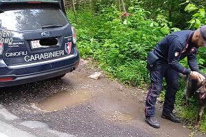 carabinieri boschi spaccio