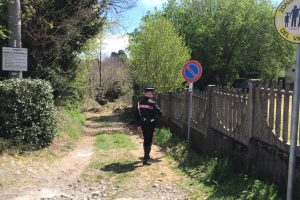 carabinieri bosco