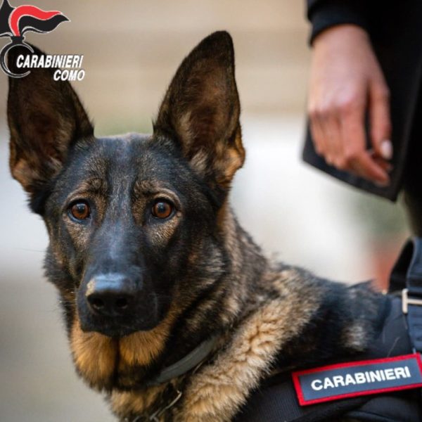 carabinieri como