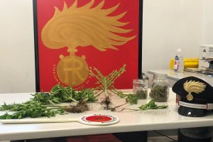 carabinieri erba marijuana