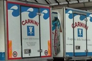 carnini