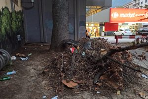 carrefour-rosselli-2