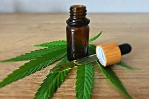 cbd-cannabis