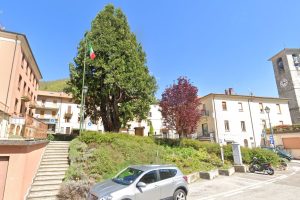 cedro-centro-valle-intelvi-giardino-dei-giusti-1