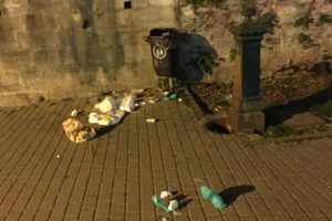 cestino viale varese 1