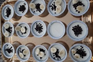 cheesecake cavallasca