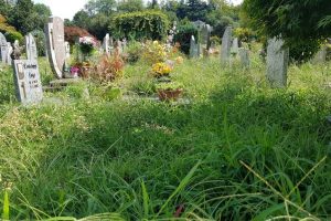 cimitero-camerlata (17)