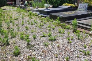cimitero monumentale (12)