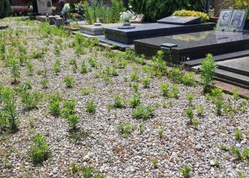 cimitero monumentale (12)