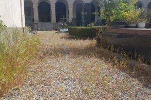 cimitero-monumentale (12)