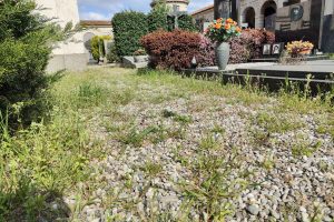 cimitero monumentale (4)