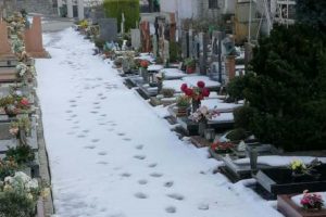 cimitero neve 9