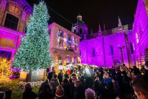 città-dei-balocchi-albero-natale (14)