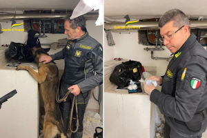 cocaina-rodero-guardia-finanza-cani-cane