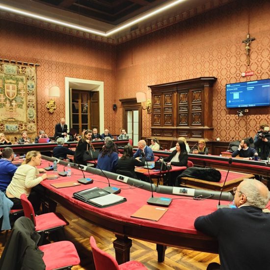 consiglio comunale