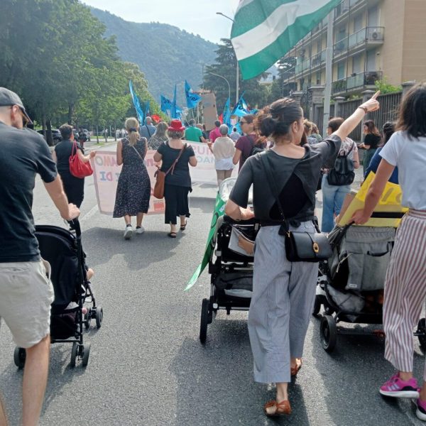 corteo nidi