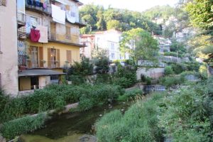 cosia-degrado (4)