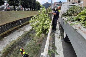 cosia protezione civile