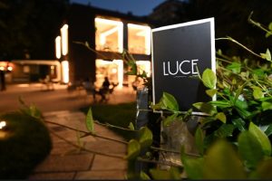 cube luce