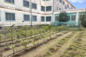 cucinare al fresco bassone orto (1)