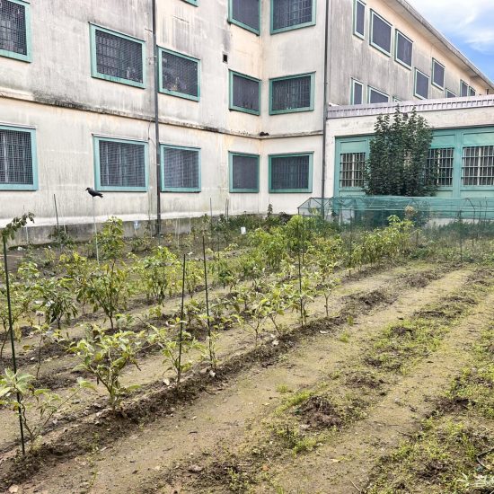 cucinare al fresco bassone orto (1)