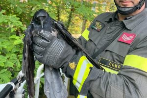 d85437cf-d442-4e22-942e-e7e416b6cbd6 2