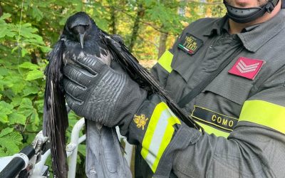 d85437cf-d442-4e22-942e-e7e416b6cbd6 2