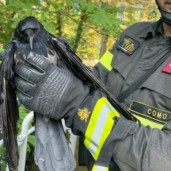 d85437cf-d442-4e22-942e-e7e416b6cbd6 2