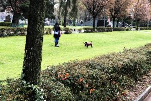 degrado-giardini-lago (8)