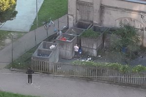 degrado ippocastano6