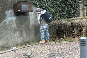degrado pipi 2
