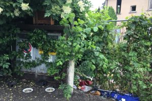 degrado-stazione-grandate (5)