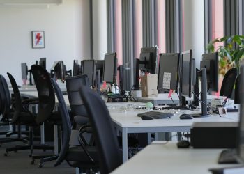 derschoeneali-office-5211510_1280