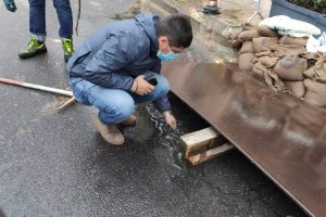 di bartolo 2