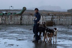 dogman-film (4)