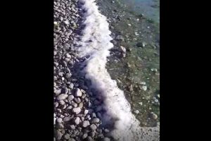 domaso-lago-spiaggia-schiuma