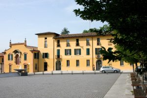 erba-comune