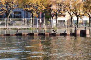 esondazione-3-ottobre-2020-cantiere-paratie (34)