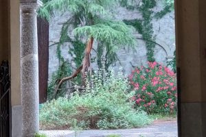 ex-casa-albergo-via-volta-1