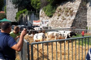 fiera-sant-abbondio-2020 (23)