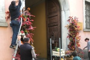 fiori comune zucche 2