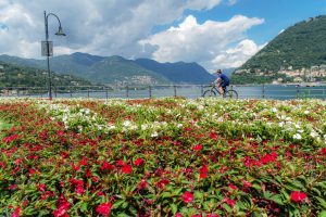fiori passeggiata