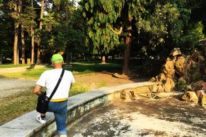 fontana-giardini (29)