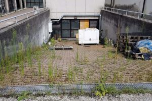 forno crematorio (4)