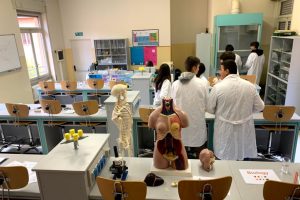 gallio-corso-biomedico