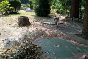 Il minigolf ai giardini a lago. Anche per il progetto per il rifacimento dei giardini a lago - finanziato dalla Regione già dal 2017 - si è in attesa di un miracolo. Intanto, un simbolo del divertimento per generazioni di comaschi, lo storico minigolf, è chiuso e si presenta ormai come un cumulo di macerie.