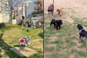 giardini-via-crispi-cani