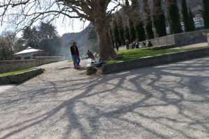 griglia 1