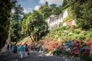 Como Villa del Grumello aperta al pubblico di domenica fioritura delle ortensie