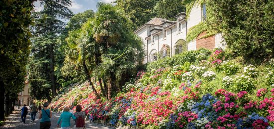 Como Villa del Grumello aperta al pubblico di domenica fioritura delle ortensie